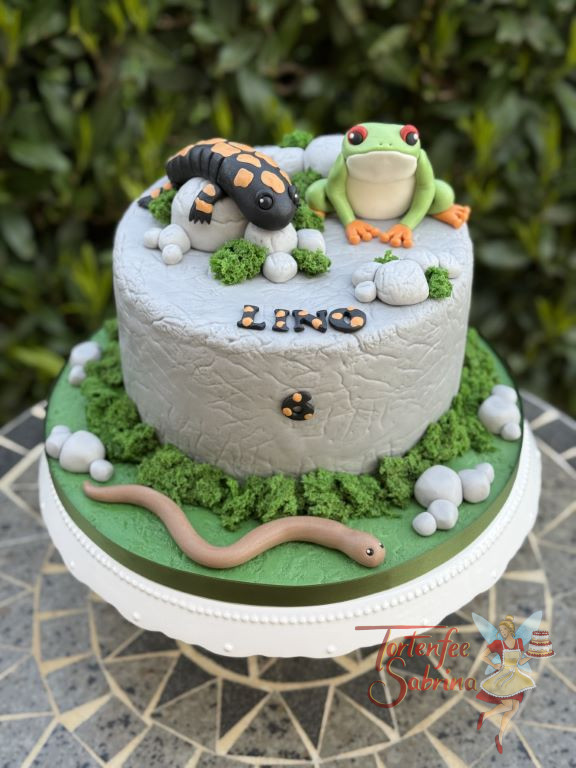 Geburtstagstorte Buben - Frosch und Salamander sitzen ganz neugierig auf der Torte und lassen die Bindschleiche nicht aus den Augen.