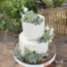 Hochzeitstorte - Weiß mit Sukkulenten, die 2 stöckige Torte wurde dünn eingestrichen und mit schönem grün verziert.